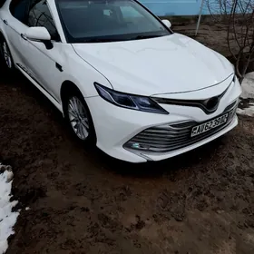 Toyota Camry 2019