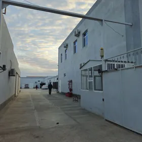 taÿÿar önimçilik