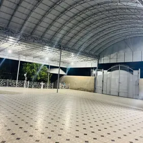 Mary  shaher,Satlyk howly