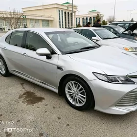 Toyota Camry 2019
