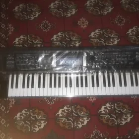 Ritm blok Rolond GW-8