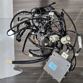 Parktronik 2013 Avalon