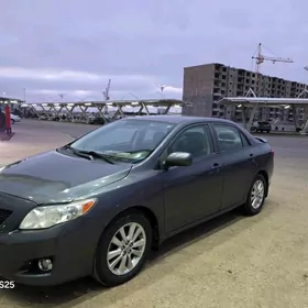 Toyota Corolla 2009