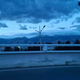 Грибоедова срочно