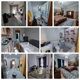 Подвойская Арчабиль элитка