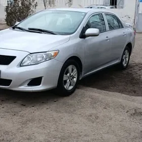 Toyota Corolla 2010