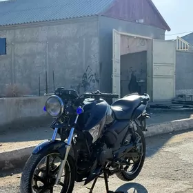 Fekon FK200-14G 2026