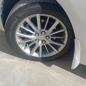 Carolla diska original