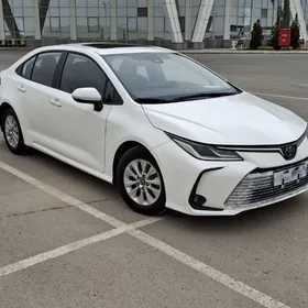 Toyota Corolla 2021