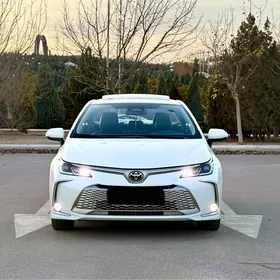 Toyota Corolla 2025