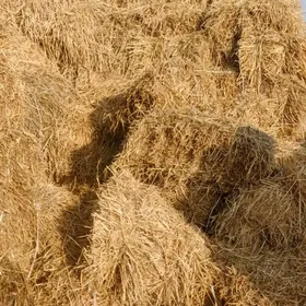 от маллар учин