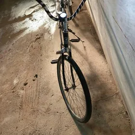 SATLYK 2sany welosipetARASSA