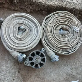 dinama slankapazarny