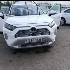 Toyota RAV4 2019