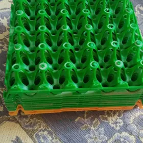 inkubator üçin plasmas latok