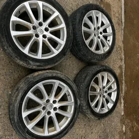 18lik diska pakriska