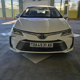 Toyota Corolla 2024