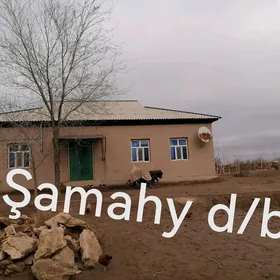 Şamahy d/b
