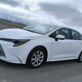 Toyota Corolla 2020