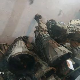 karopga tofaş dogan