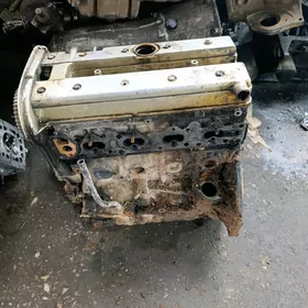 Omega krpic mator karopka