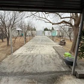 BUZMEYIN 40 ÝYLLYK BELEK