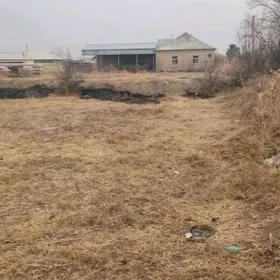 ortaky iskra melek yer 24sotok