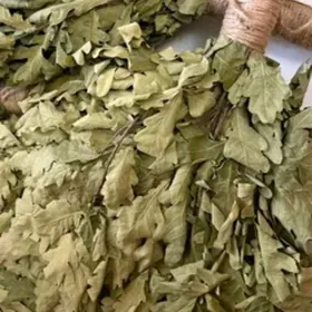 продам дубовые (березовые)вени