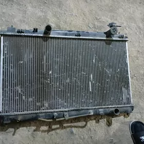 Öküz kelle Radiýator