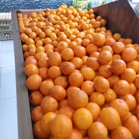 isgar gerek manga magazyn