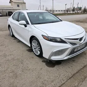 Toyota Camry 2024