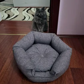 Лежанка для кота