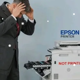 Epson L800 printer