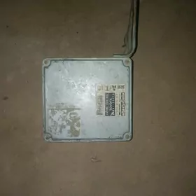 Tayota windomyn kampiýuteri.