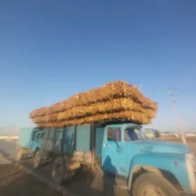 sudanka we mekge paljy mal oty