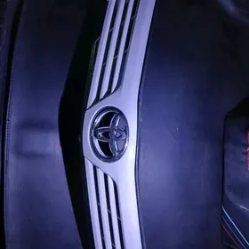 Palta camry abylsowka