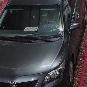 2010 karollo karopga