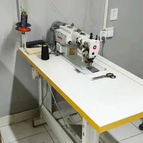 шагайуший кожа маш