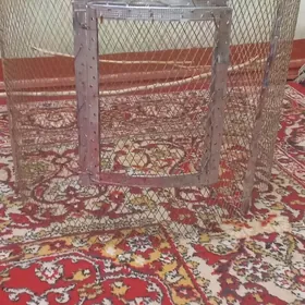 домашние животные