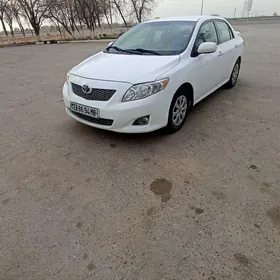 Toyota Corolla 2010