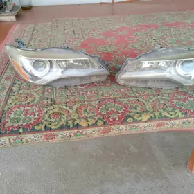 aziyada camryn farasy