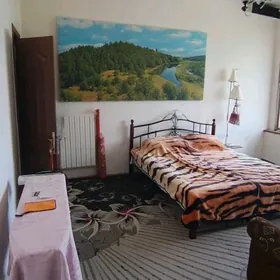 büzmeýin kotež 8 sotok