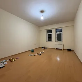 Taslama Poluelitka 2 kom