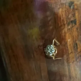 золотая серёжка