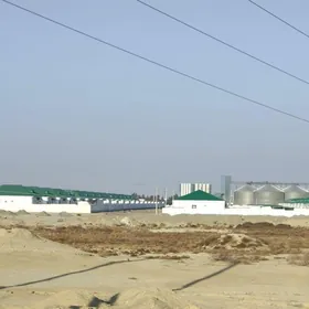 Beherden posun gayrasy 2026