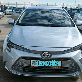 Toyota Corolla 2023