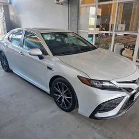 Toyota Camry 2021