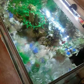 аквариум заводской