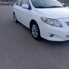 Toyota Corolla 2010