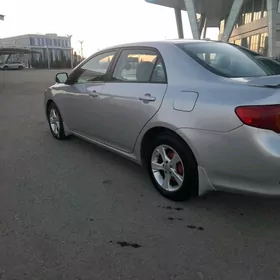 Toyota Corolla 2010